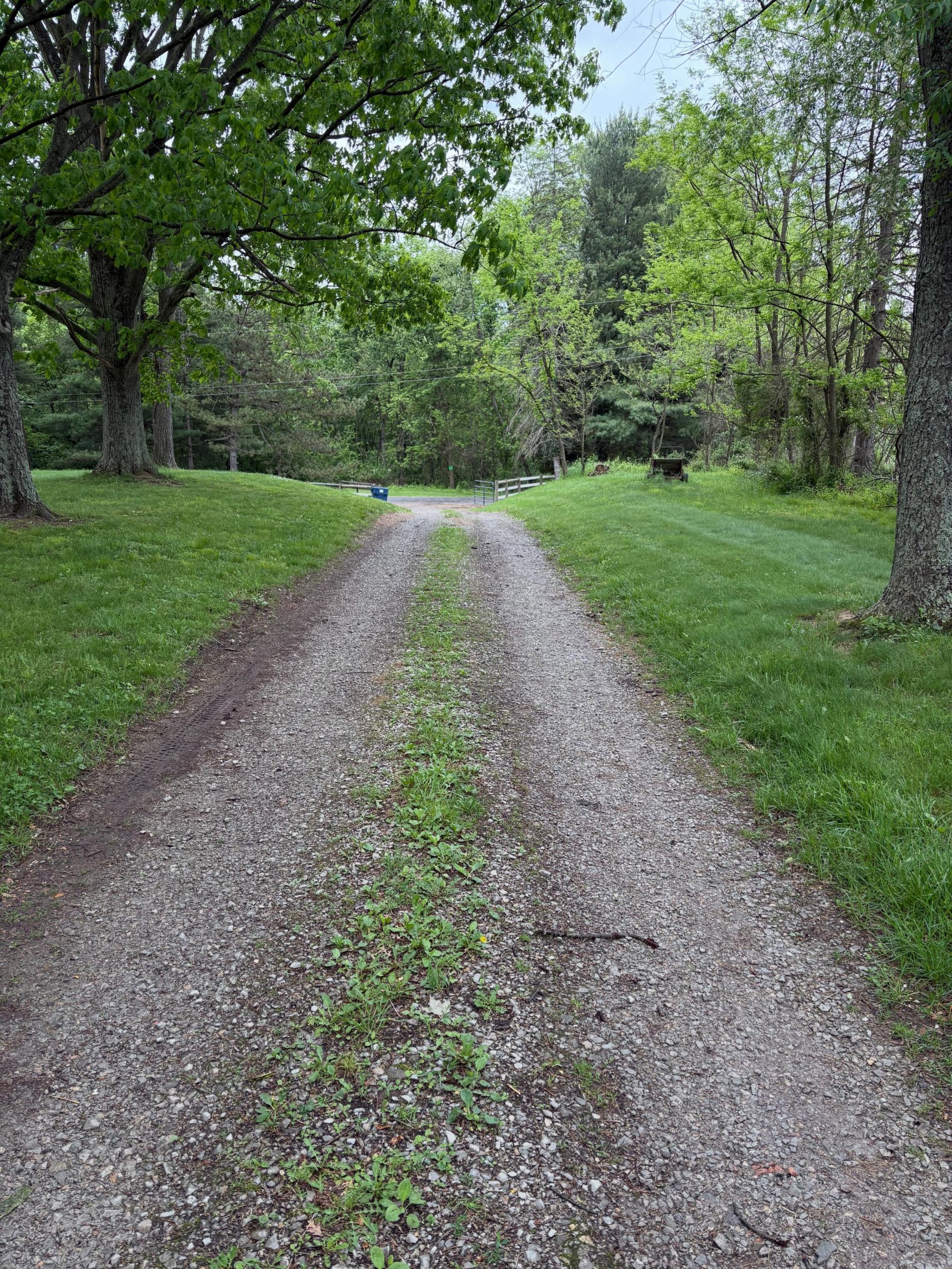 Rutted rocky driveway before restoration