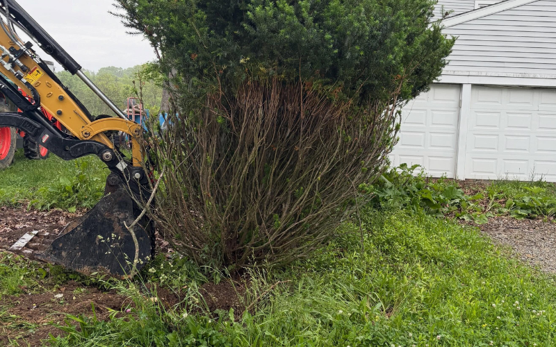 Site preparation work